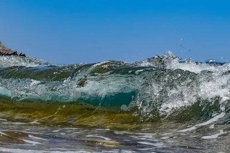 surfing